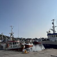 Der Hafen von Honningsvåg (NO)